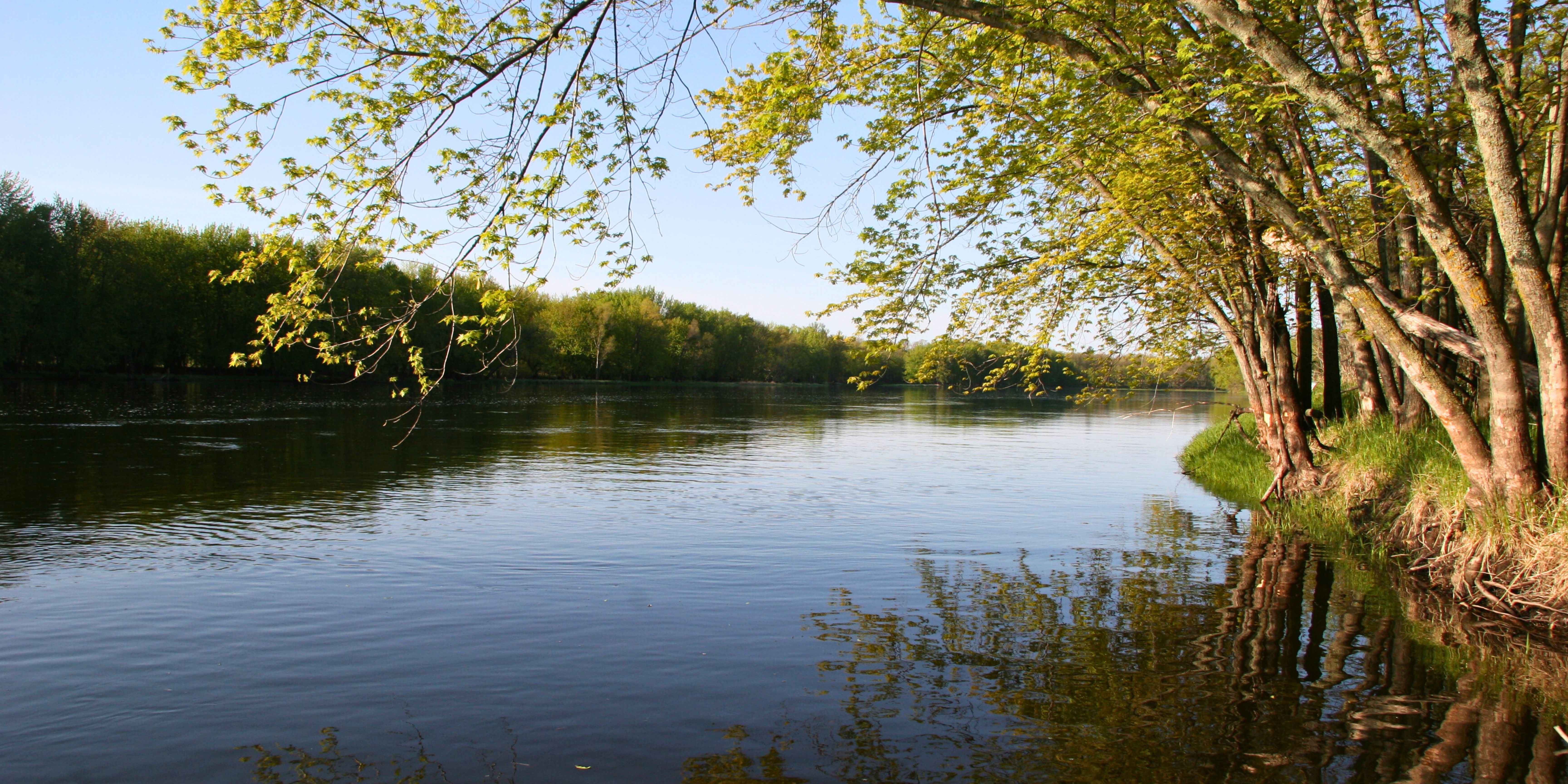 Protecting Our Waters Background