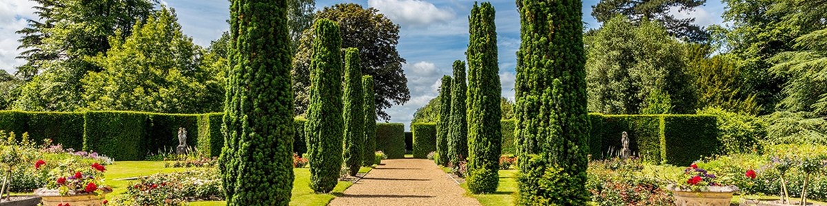 Rose Garden.jpg