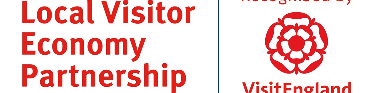 VE LVEP Logo Landscape White HEX RGB